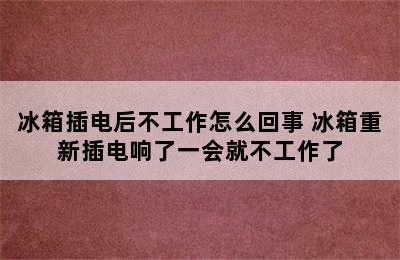 冰箱插电后不工作怎么回事 冰箱重新插电响了一会就不工作了